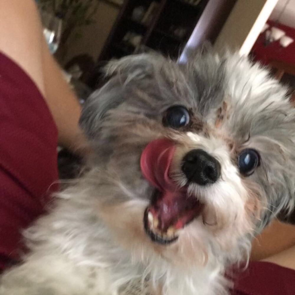 Meet your Posher, Jenifer